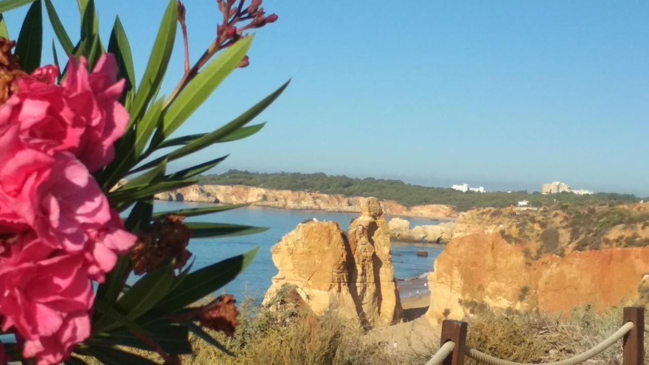 Albur Village B - Camomile Alvor Exteriér fotografie